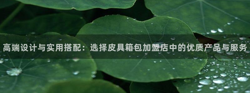 辉达怎么样