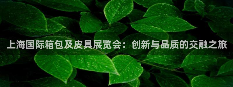 辉达娱乐加q75775