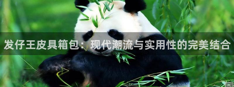 辉达娱乐珈75775