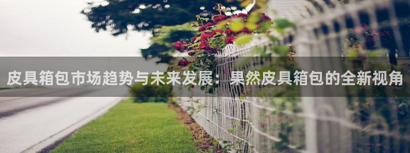 辉达娱乐体彩