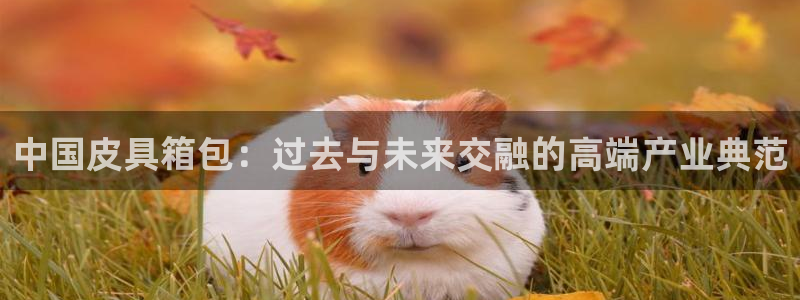 专业辉达娱乐平台