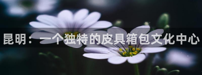 辉达娱乐体育竞猜