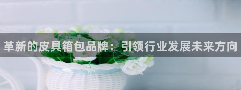 菲律宾辉达娱乐