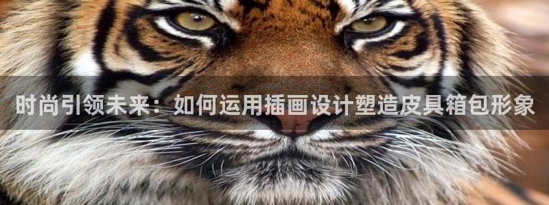 辉达娱乐最新消息新闻