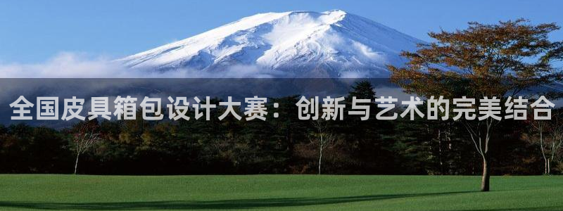 辉达娱乐公司