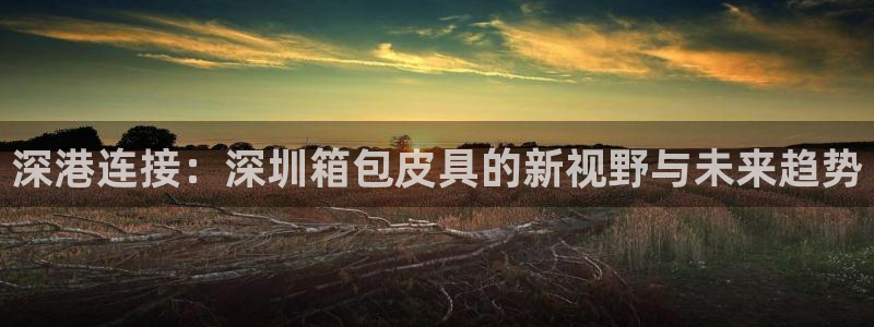 辉达娱乐招商