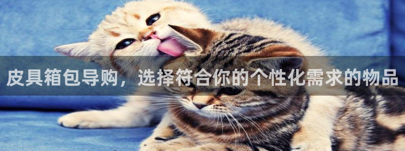 辉达娱乐公司