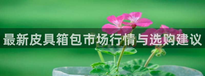 代理辉达娱乐官方网址