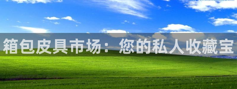 辉达娱乐最新消息新闻