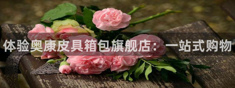 辉达娱乐属于什么档次