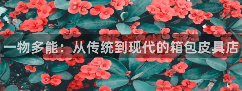 辉达娱乐丿39444