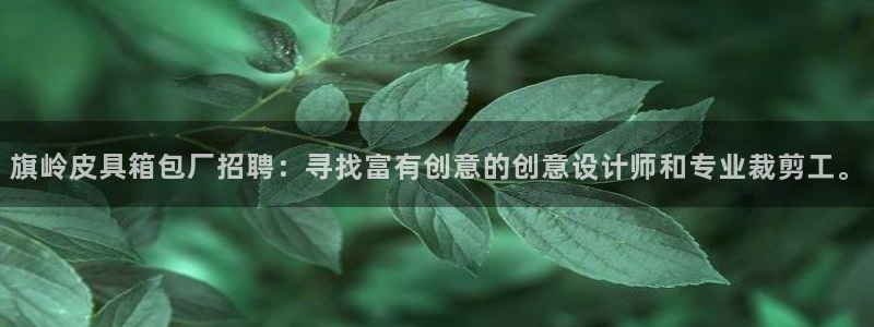 辉达娱乐最新版本更新内容