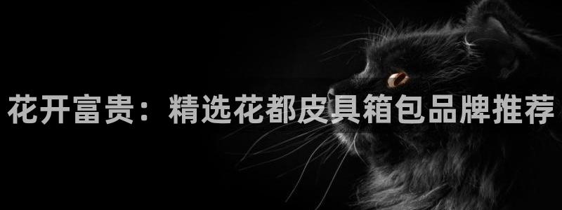 辉达娱乐