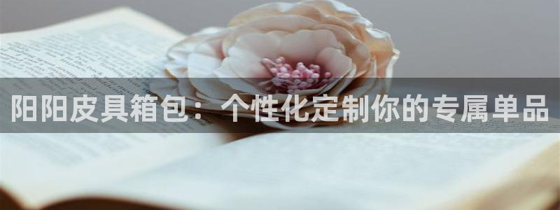 代理辉达娱乐官方网址